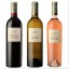 VINS